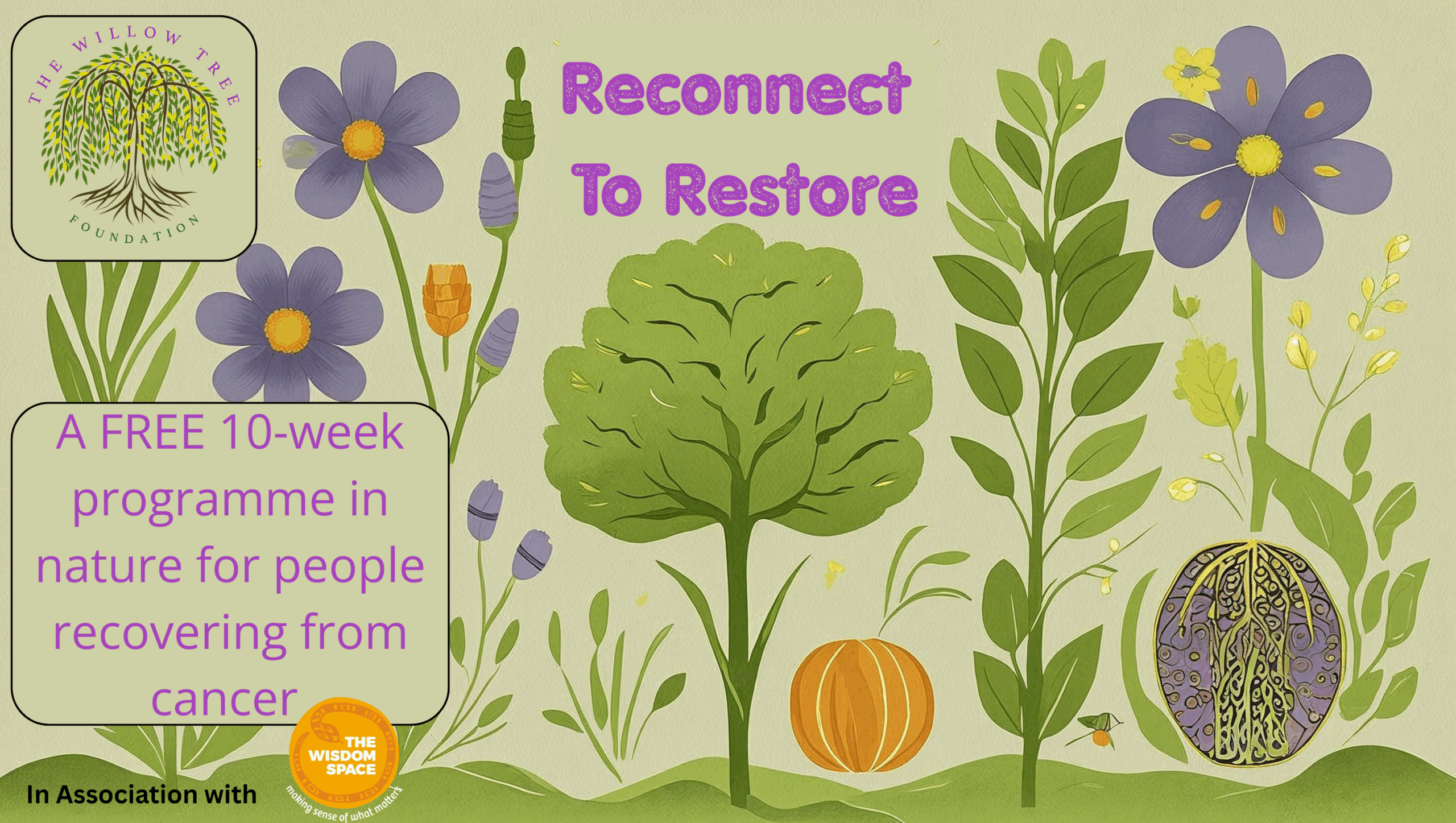 Reconnect to restore