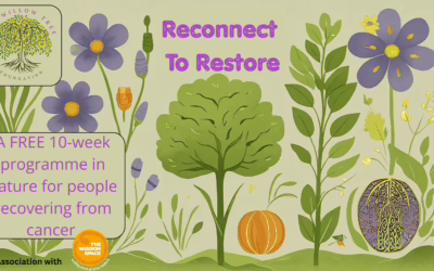 Free 10-week healing programme