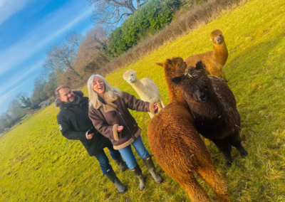 A man and a smiling woman interact joyfully with several alpacas in a vibrant green field under a clear blue sky.
