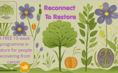 Free 10-week healing programme
