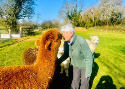 A woman in a green fleece gently nuzzles a fluffy reddish-brown alpaca in a sunny green field, with other alpacas nearby.