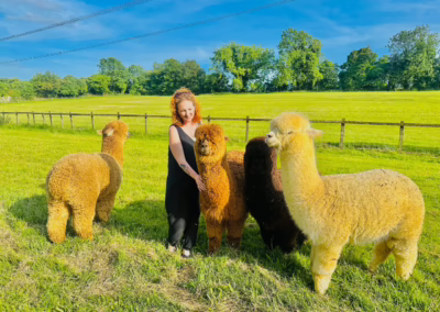 Five women enjoying an alpaca walk in a sunny green field, interacting with several alpacas under a clear sky.