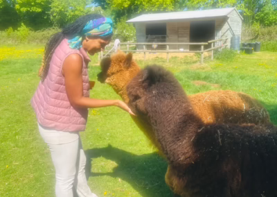 A woman with braids smiles warmly while gently feeding two fluffy alpacas in a sun-drenched green field with trees and a shed.