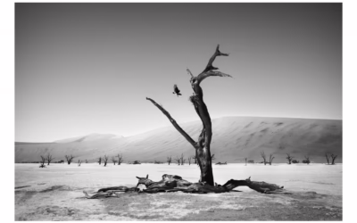 Grief Awareness Week