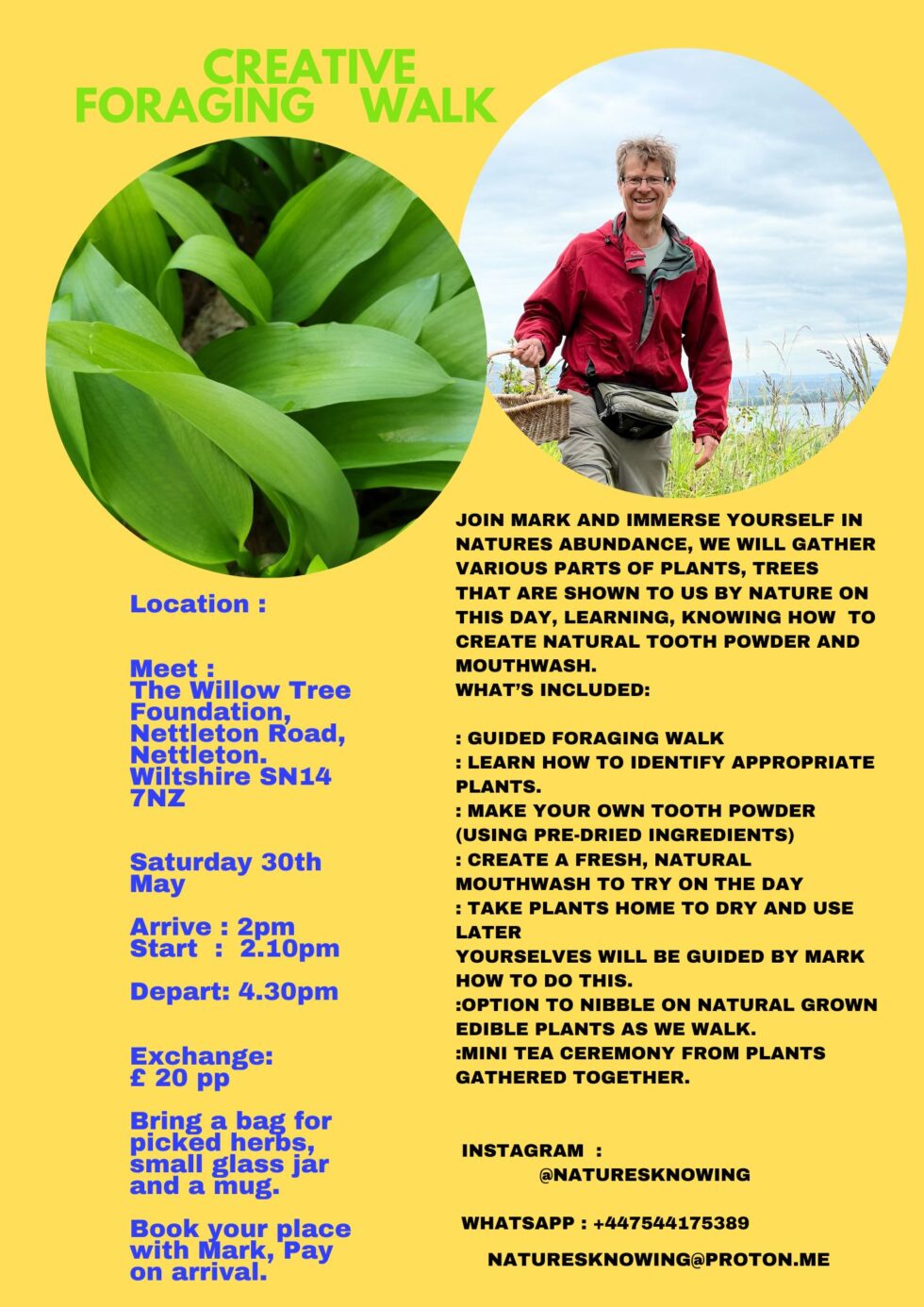 Foraging Tea Ceremony - The Willow Tree Foundation