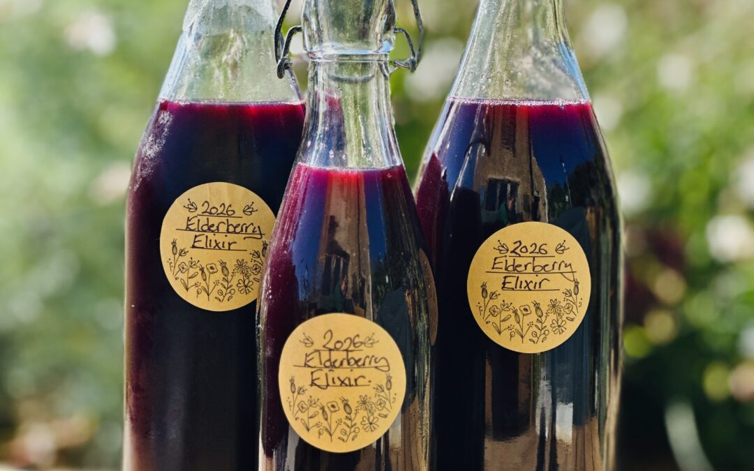 How To Make Elderberry Elixir