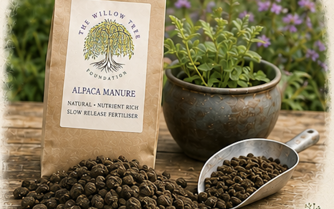 Using Alpaca Manure As Fertiliser